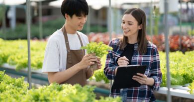 Agricultura organica mexico