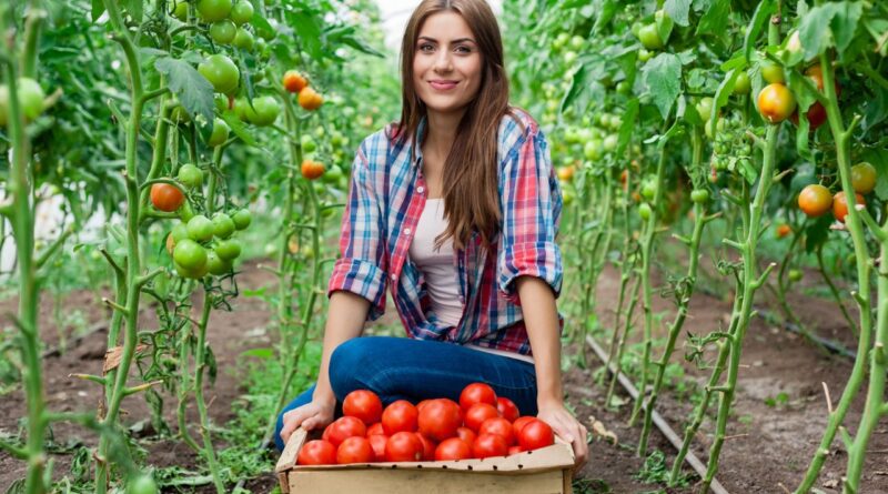 Agricultura sostenible venezuela