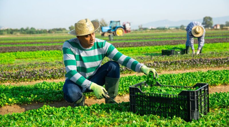 agricultura de precisión Latinoamérica 2025