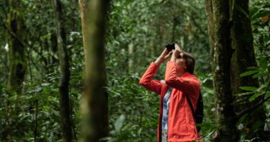 ecoturismo Colombia 2025