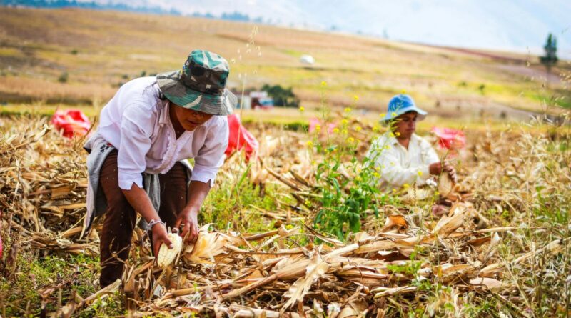 exportaciones agrícolas de Venezuela