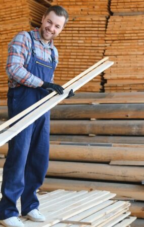 industria forestal sostenible chile