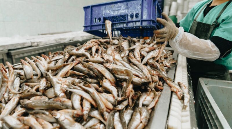 peru industria harina de pescado