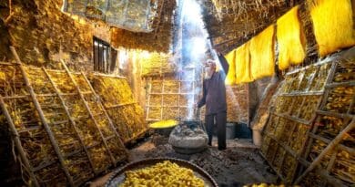 Almacenamiento agricola dominicana