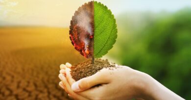 Cambio climatico agricultura dominicana