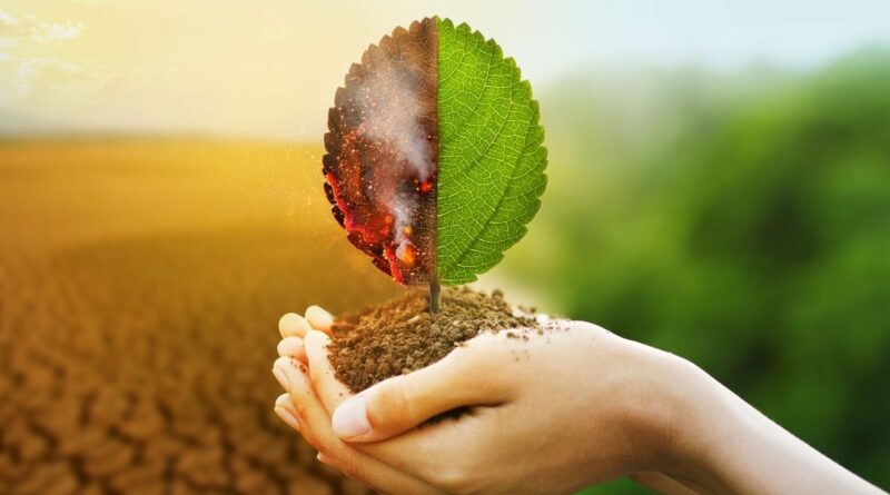 Cambio climatico agricultura dominicana
