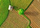 Cultivos tropicales raros republica dominicana