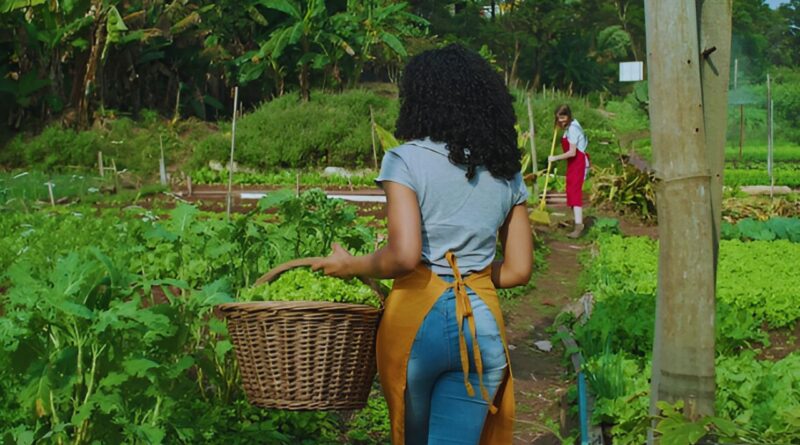 Granjas organicas republica dominicana