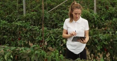 Negocios agricolas rd