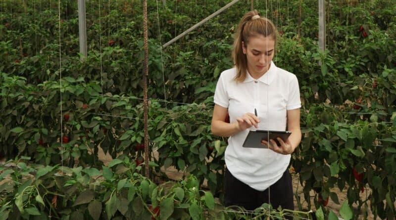 Negocios agricolas rd