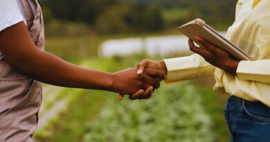 Politicas agricultores dominicanos
