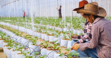 agricultura ecológica república dominicana