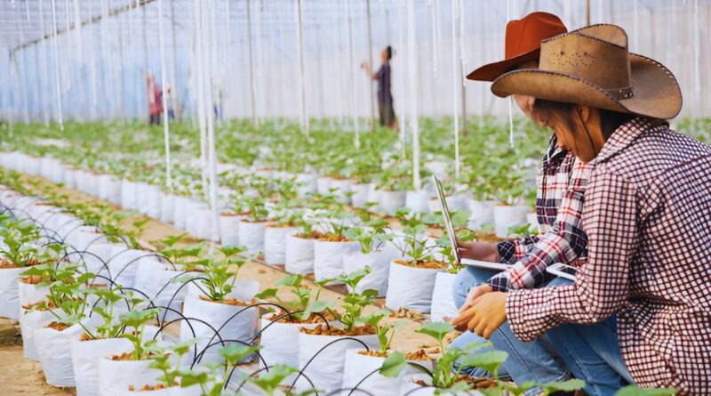 agricultura ecológica república dominicana