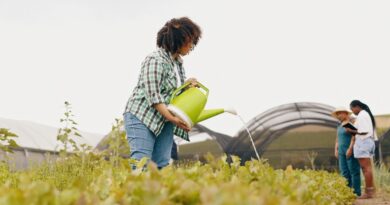 agricultura sostenible República Dominicana
