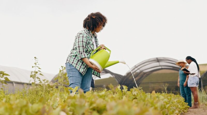 agricultura sostenible República Dominicana