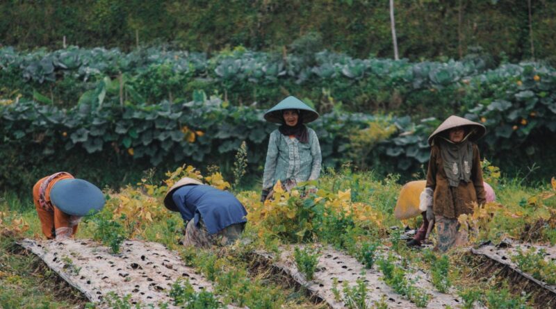 agricultura sostenible República Dominicana