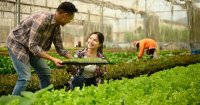 agricultura sostenible República Dominicana