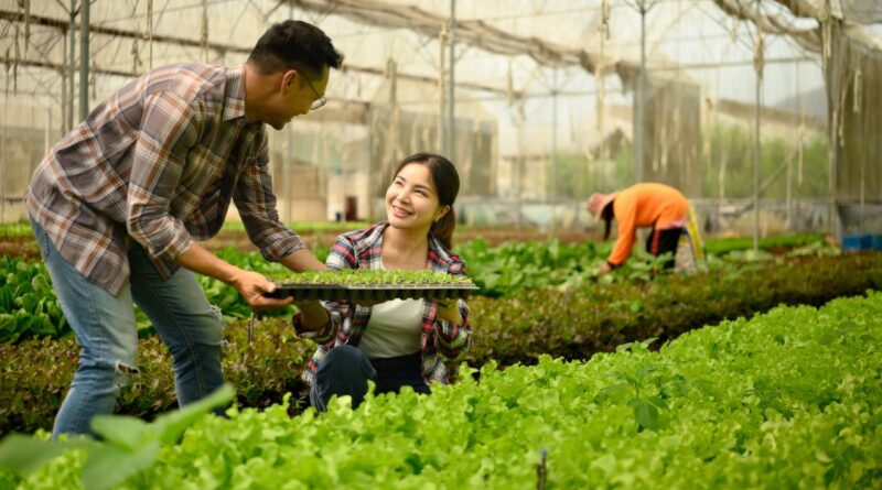 agricultura sostenible República Dominicana