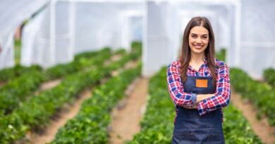 agroemprendedores dominicanos éxitos agrícolas