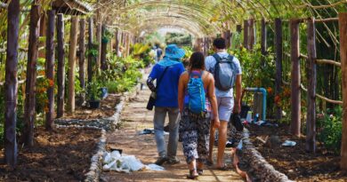 agroturismo republica dominicana