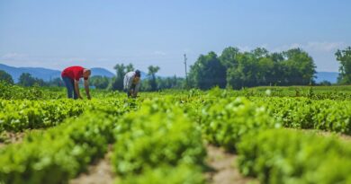 amenazas agricultura dominicana