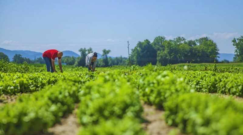 amenazas agricultura dominicana