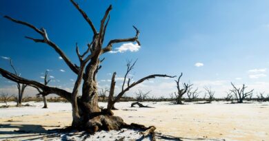cambio climático agricultura república dominicana
