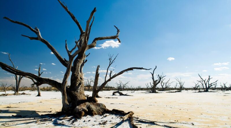 cambio climático agricultura república dominicana