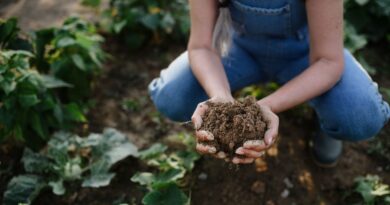 como combatir erosion suelo fincas dominicanas