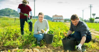 cooperativas agrícolas dominicanas