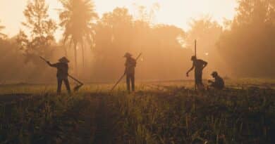 desafíos agricultores dominicanos exportar