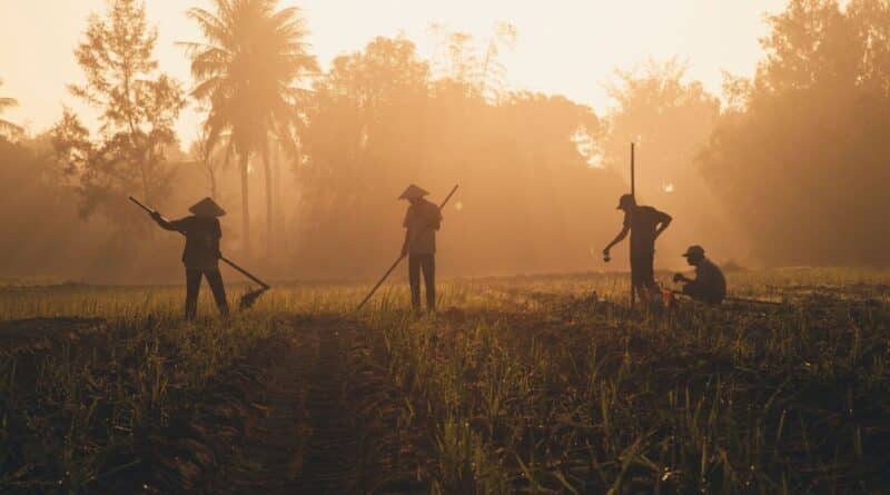 desafíos agricultores dominicanos exportar
