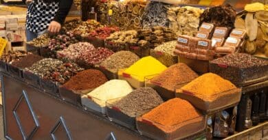 especias dominicanas conquistan mundo