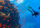 exploracion aguas profundas mexico
