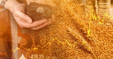 exportaciones agrícolas dominicanas mercados emergentes