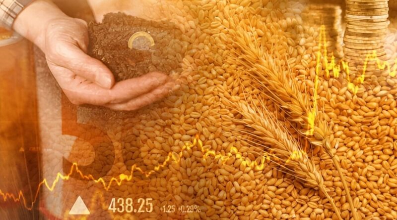 exportaciones agrícolas dominicanas mercados emergentes