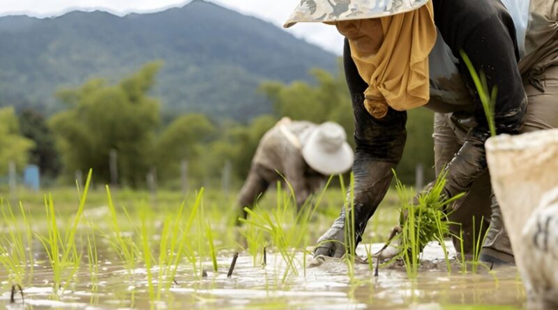 indigenous farming techniques
