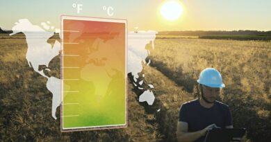 innovaciones agricultores calor