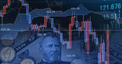 las fluctuaciones de divisas impactan