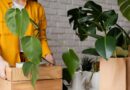 marcas colombianas ecológicas
