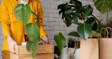 marcas colombianas ecológicas