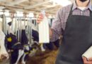 mejores productores lácteos república dominicana