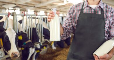 mejores productores lácteos república dominicana