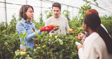 programas capacitación agrícola dominicanos