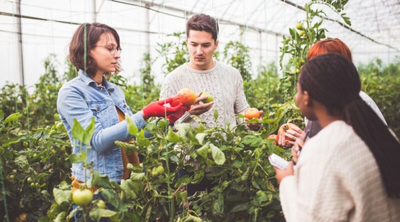 programas capacitación agrícola dominicanos