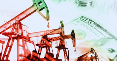 programas comunitarios petroleros