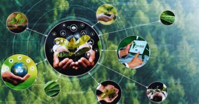 proyectos agroforestales dominicanos