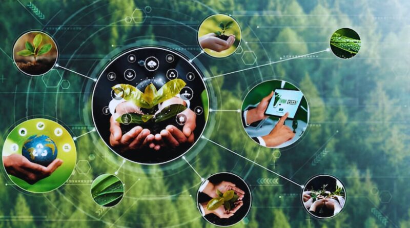 proyectos agroforestales dominicanos