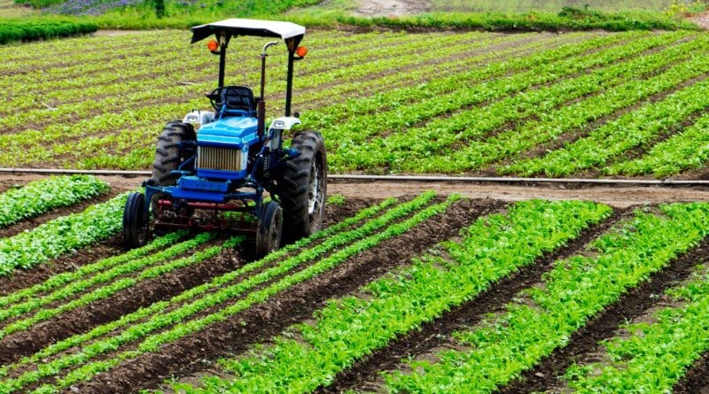 regiones agrícolas república dominicana