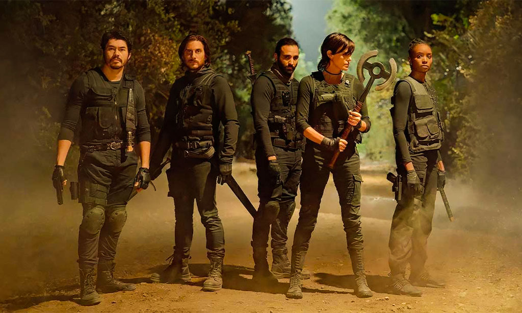 Distintivos de La Vieja Guardia 2